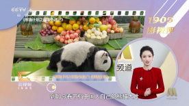 国产极品一区